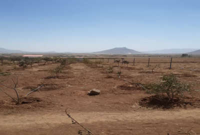 باغ ۳ ساله فنس کشی داران روستای حصور ۳۰۰۰ متر