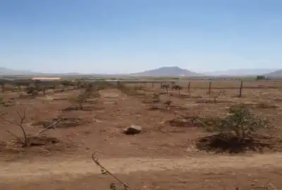 باغ ۳ ساله فنس کشی داران روستای حصور ۳۰۰۰ متر
