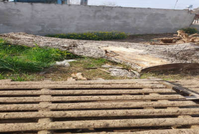 فروش زمین مسکونی واقع در شریف آباد ۲۰۲ متر