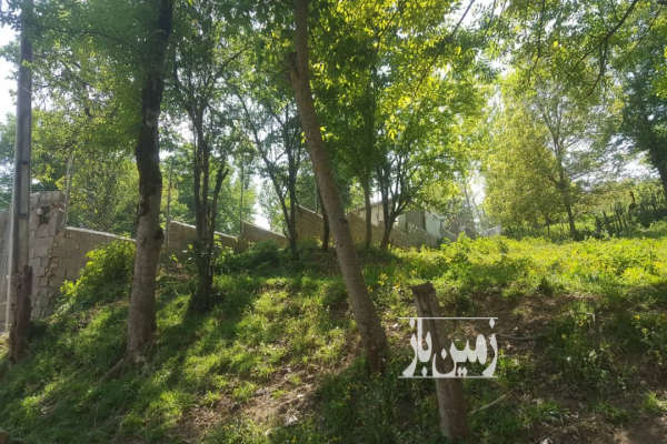 زمین در ساری جاده دودانگه روستای ابکسر ۲۶۹ متر-3