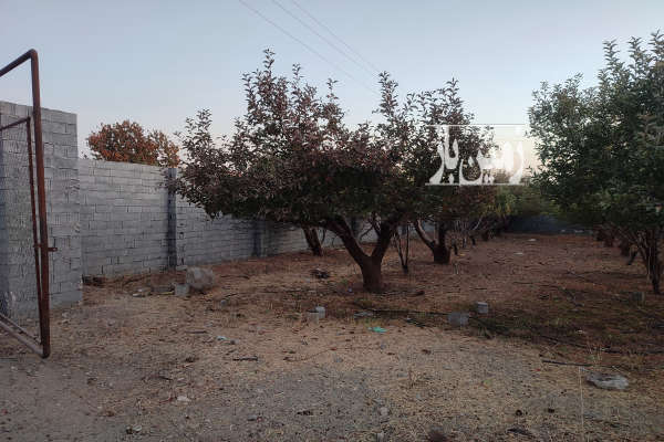 باغ ۱۵۰۰ متری جابان دماوند سند تک برگ-1