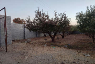 باغ ۱۵۰۰ متری جابان دماوند سند تک برگ