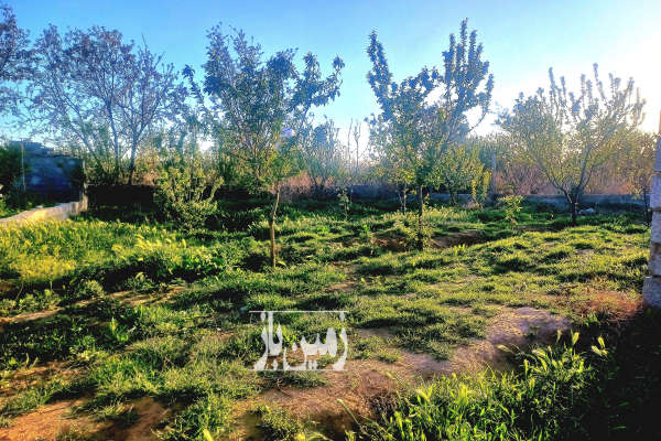 فروش باغچه ۳۰۰ متری ماهدشت پیشک دو-1