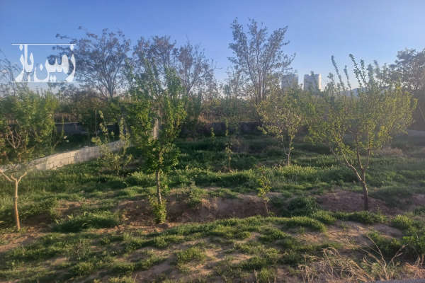 فروش باغچه ۳۰۰ متری ماهدشت پیشک دو-3
