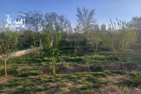 فروش باغچه ۳۰۰ متری ماهدشت پیشک دو - تصویر 3