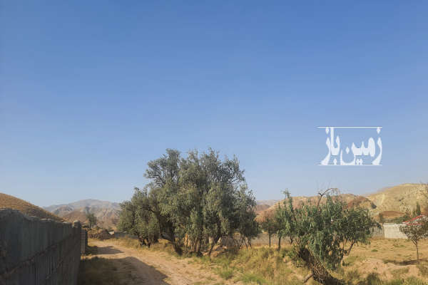 زمین کاربری باغ در صوفیان به متراژ ۱۰۰۰ متر-4