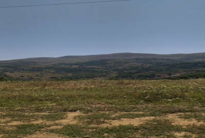 زمین سند دار در روستای داماش شهرستان رودبار ۳۰۰ متر