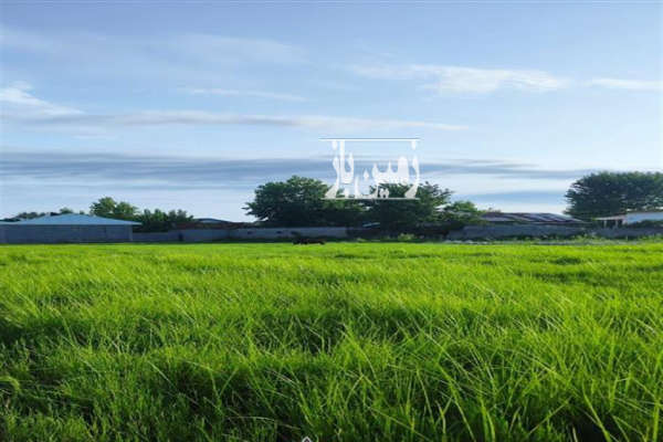 زراعی ۴۰۰۰متر زمین در روستای نوشر خشکبیجار-1