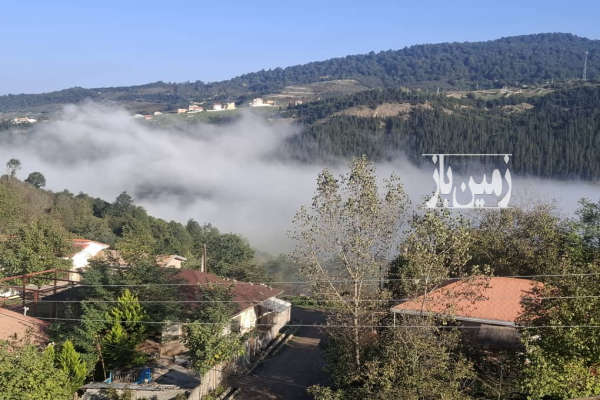 فروش زمین ۴۳۵ متر در سوادکوه با ویو کوهستان-1