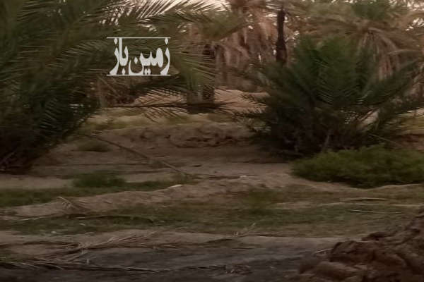 زمین کشاورزی بخشان جلوتر از حوض سیاه دک ۱۸۰۰ متر-1