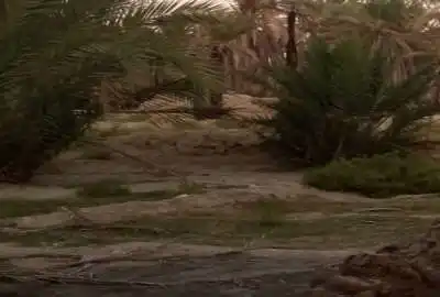 زمین کشاورزی بخشان جلوتر از حوض سیاه دک ۱۸۰۰ متر
