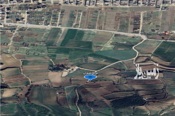 فروش زمین کنار جنگل در گرگان موقیعت عالی ۳۰۰۰ متر-3