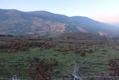 زمین کشاورزی درروستایی تیلم سوادکوه آلاشت ۸۰۰ متر