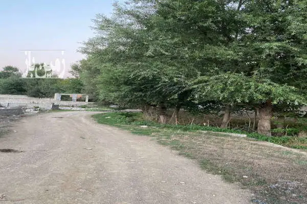 کلاردشت زمین ۳۳۰ متر لاهو بهترین دسترسی به شهر - تصویر 2