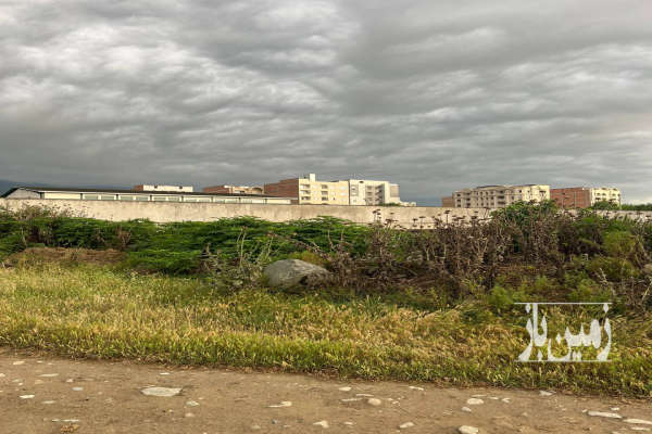 زمین با ویو جنگلی ابدی خیابان جنگل ۲۴۰ متر-1