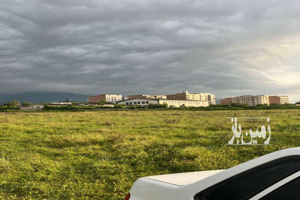 زمین با ویو جنگلی ابدی خیابان جنگل ۲۴۰ متر-2