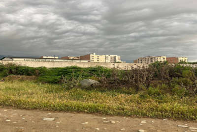 زمین با ویو جنگلی ابدی خیابان جنگل ۲۴۰ متر