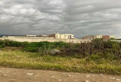 زمین با ویو جنگلی ابدی خیابان جنگل ۲۴۰ متر