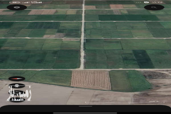 فروش زمین کشاورزی در گلوگاه مزرعه کوپچی ۳۰۰۰ متر-3