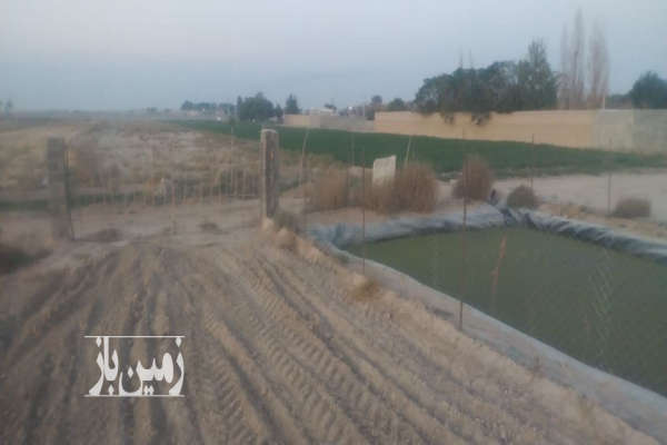 باغ پسته ۶ ساله دوبر یوسف آباد خالصه ۴۰۰۰ متر-4