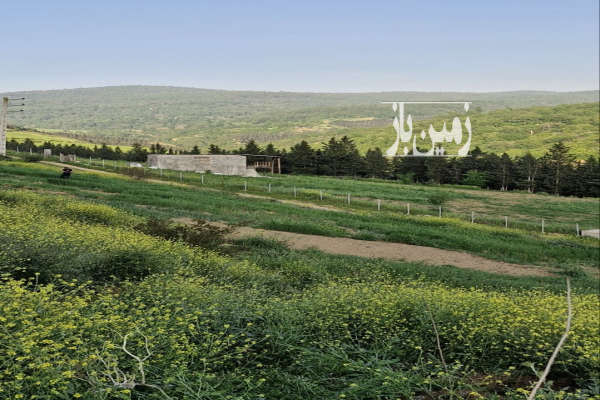 زمین واقع در اجاراستاق ۱۸۰ متر بر زمین جنگلی ویو ابدی-1