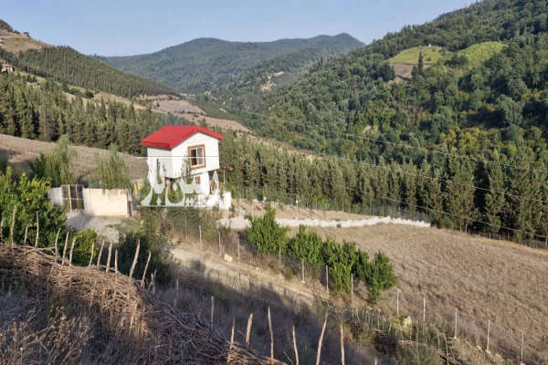 زمین واقع در اجاراستاق ۱۸۰ متر بر زمین جنگلی ویو ابدی-2