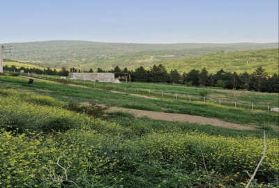 زمین واقع در اجاراستاق ۱۸۰ متر بر زمین جنگلی ویو ابدی