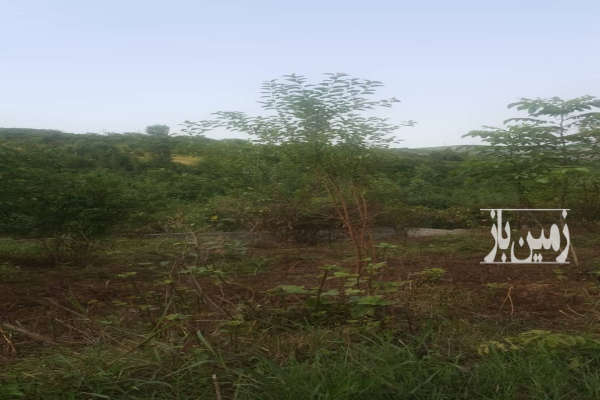 زمین شیرگاه گنج افروز مرزیکلا روستای کلاریکلا ۶۰۰ متر-1