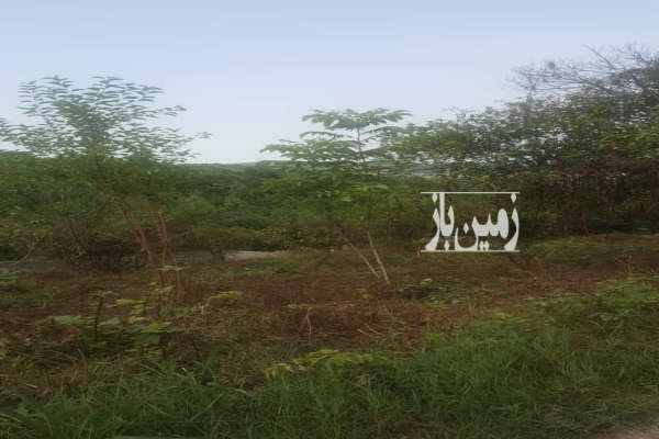 زمین شیرگاه گنج افروز مرزیکلا روستای کلاریکلا ۶۰۰ متر-2