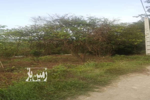 زمین شیرگاه گنج افروز مرزیکلا روستای کلاریکلا ۶۰۰ متر-3