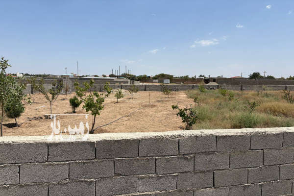 زمین ۱۰۰۰ متری آبياري قطره ایی نظرآباد روستای نجم آباد-3