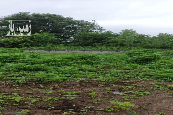 فروش زمین مسکونی رضوانشهر محله لاکتاسرا ۴۱۵ متر-2