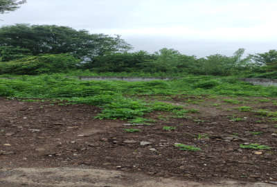 فروش زمین مسکونی رضوانشهر محله لاکتاسرا ۴۱۵ متر