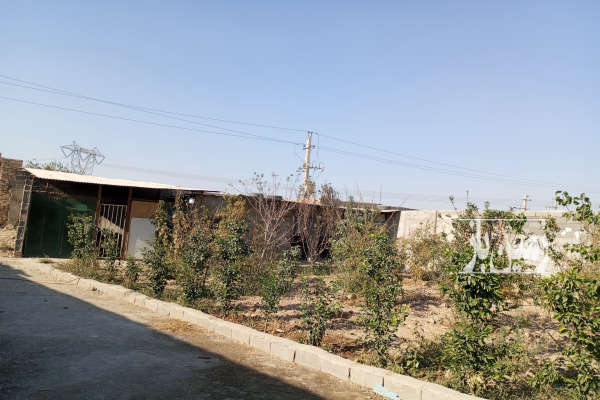 باغچه محمدآباد پیشوا لب خیابان قواره دوم ۶۵۰ متر-1