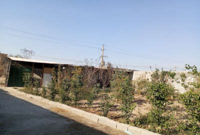 باغچه محمدآباد پیشوا لب خیابان قواره دوم ۶۵۰ متر