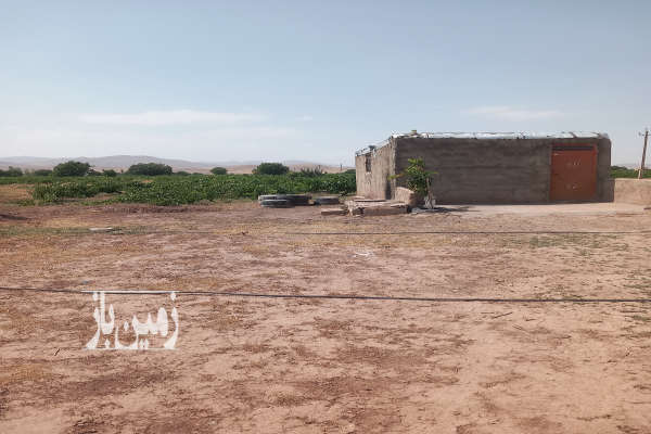 فروش باغ انگور در روستای رحمت آباد ۶۰۰۰ متر-1