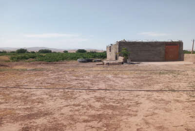 فروش باغ انگور در روستای رحمت آباد ۶۰۰۰ متر