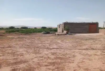 فروش باغ انگور در روستای رحمت آباد ۶۰۰۰ متر