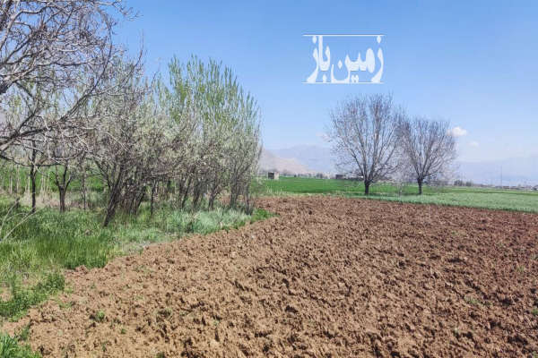 پنج هکتار زمین کشاورزی به همراه۱۴۰۰ متر باغ درخت گردو-1