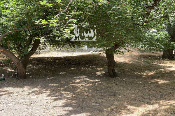 زمین ۸۲۴ متر واقع در لواسان کند علیا-2