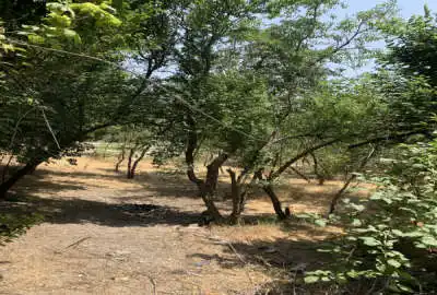 زمین ۸۲۴ متر واقع در لواسان کند علیا