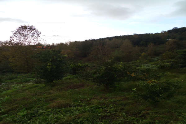 زمین سد سنگر دوست لات روستای راهدار پشته ۳۱۰ متر-1