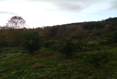 زمین سد سنگر دوست لات روستای راهدار پشته ۳۱۰ متر