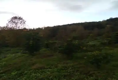 زمین سد سنگر دوست لات روستای راهدار پشته ۳۱۰ متر