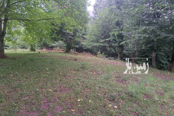 زمین مسکونی در روستای دیورش شیرکوه ۳۰۰ متر-1