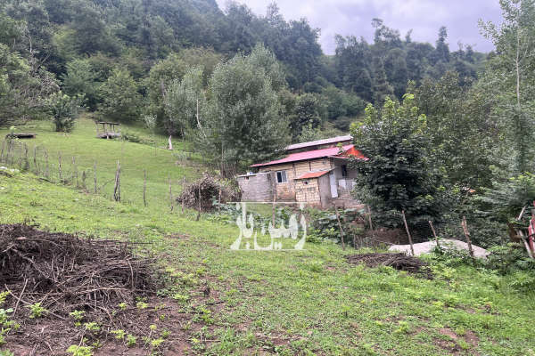 زمین مسکونی در روستای دیورش شیرکوه ۳۰۰ متر-4