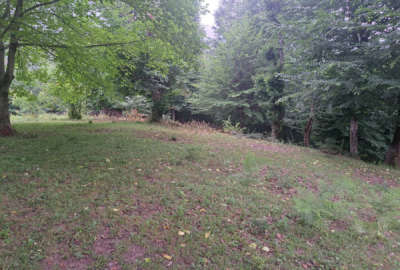 زمین مسکونی در روستای دیورش شیرکوه ۳۰۰ متر