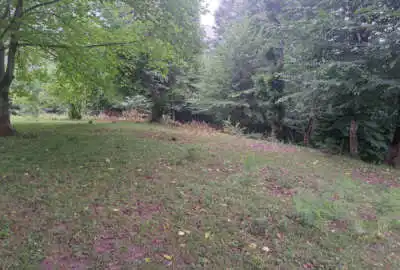 زمین مسکونی در روستای دیورش شیرکوه ۳۰۰ متر