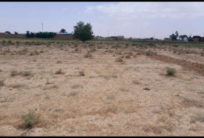 یک قطعه زمین ۱۵۰۰ متری جاده فراهان