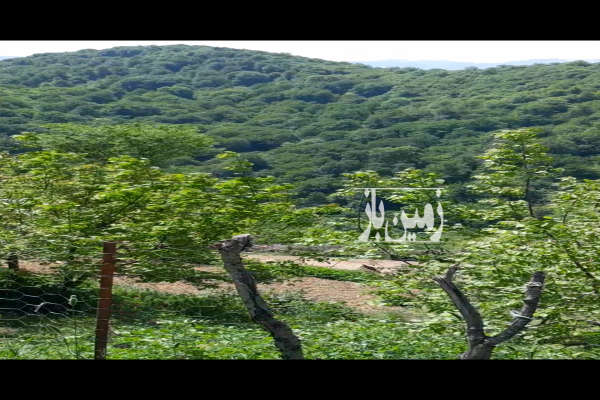 زمین در بخش محمداباد دودانگه روستای کرسب ۲۱۰ متر-3